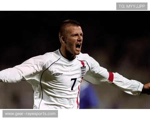 尼日利亚足球传奇球星榜单：十大顶级球员回顾与分析